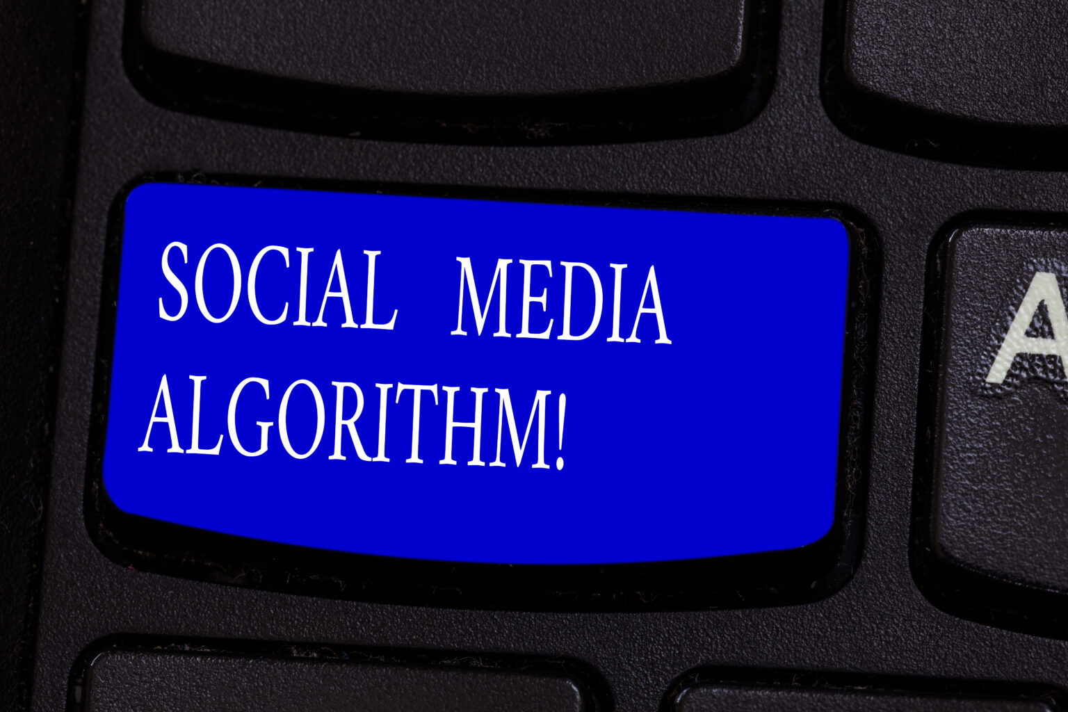 social media algorithms